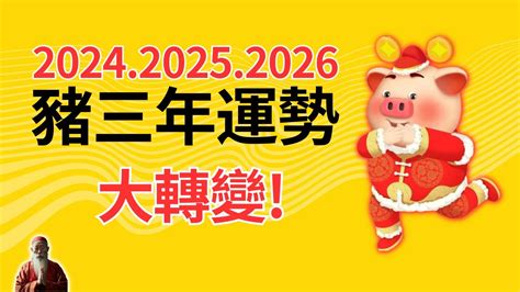 1971屬豬幸運數字|71年生肖豬，一生運勢解析 超准！